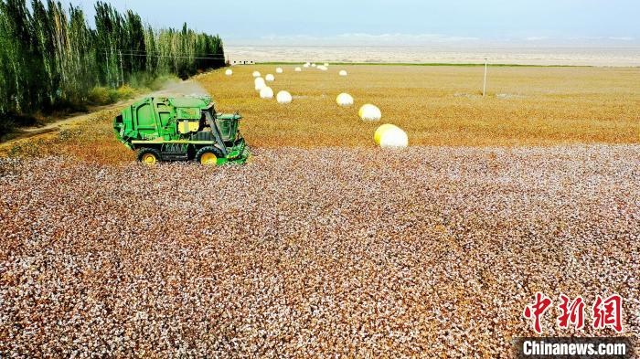 近年來，當?shù)孛藁ǚN植戶的生產(chǎn)生活發(fā)生了翻天覆地的變化?！《?攝