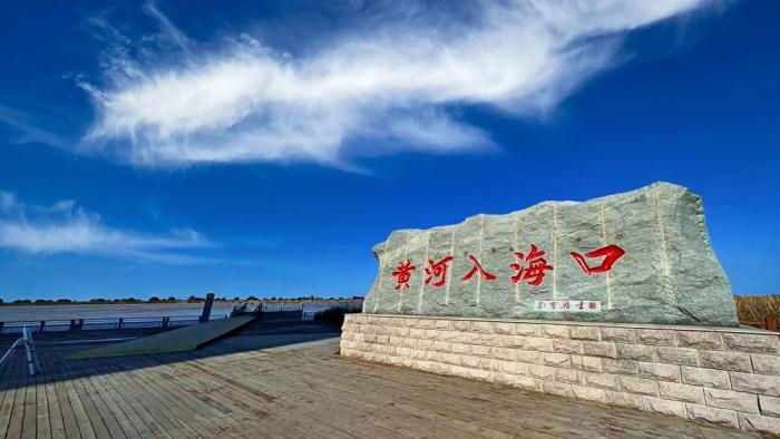 △黃河入海口位于山東東營市墾利區(qū)。(總臺(tái)央視記者彭漢明拍攝)