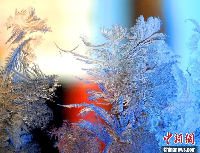 冰窗花千姿百態(tài)?！O書程 攝