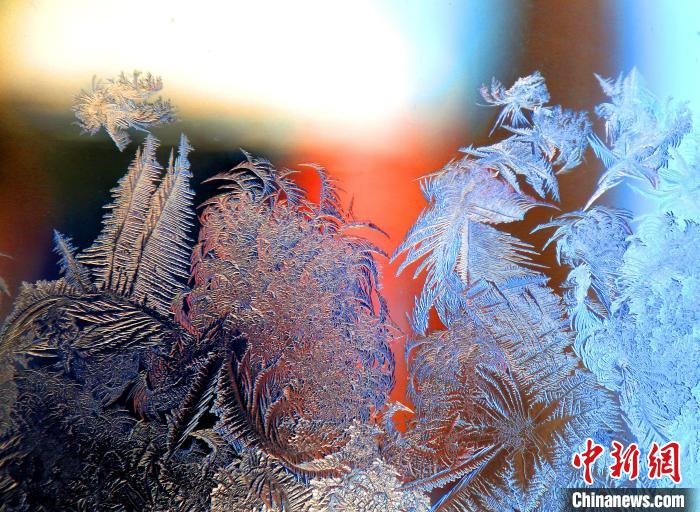 惟妙惟肖的冰窗花，似一幅風(fēng)景畫?！O書程 攝