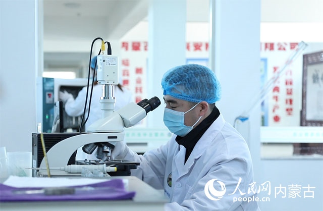 內(nèi)蒙古中農(nóng)興安種?？萍加邢薰韭鋺艨朴抑衅欤瑸槿馀．a(chǎn)業(yè)發(fā)展提供了優(yōu)質(zhì)的種源保障。白俊華攝