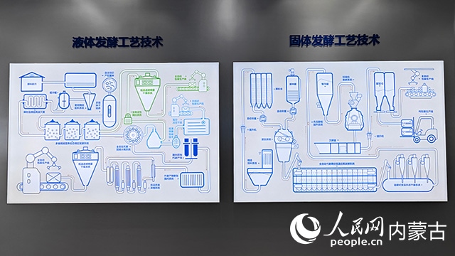 科拓生物工藝技術(shù)展示。人民網(wǎng)記者 張雪冬攝