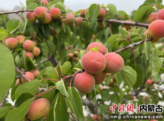 1655372252125218.jpg 微信圖片_20220616173404.jpg