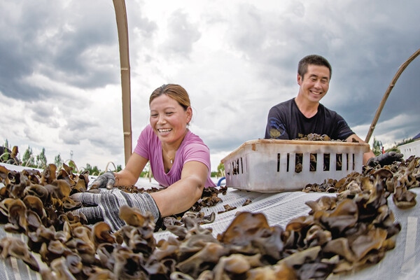 1655803287429887.jpg 9791498c0360487f807dca47dbdba233_b_B_BASIC.jpg