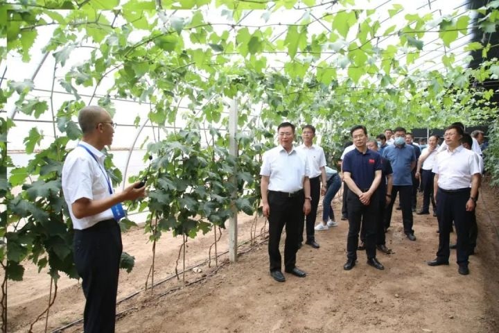 1656253245890628.jpg 微信圖片_20220626221846.jpg