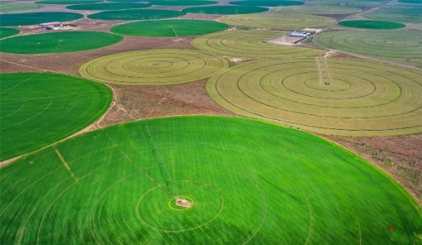 1656552265919632.jpg 00300572562_9648c007.jpg