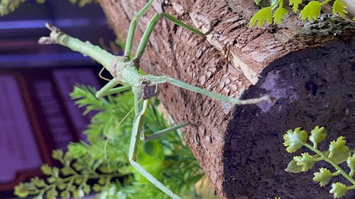 1657359319106064.jpg 微信圖片_20220709162318_副本.jpg