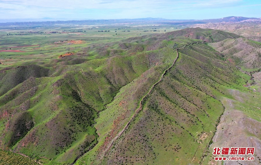 1660973297638032.jpg DJI_0779.JPG