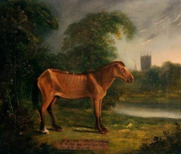 1662098154541296.jpg ee2109fe-6e75-454b-bb03-ecd340ec3819.jpg