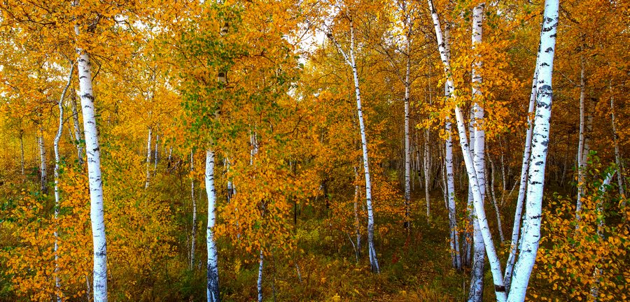 1667391021505020.jpg 03.jpg