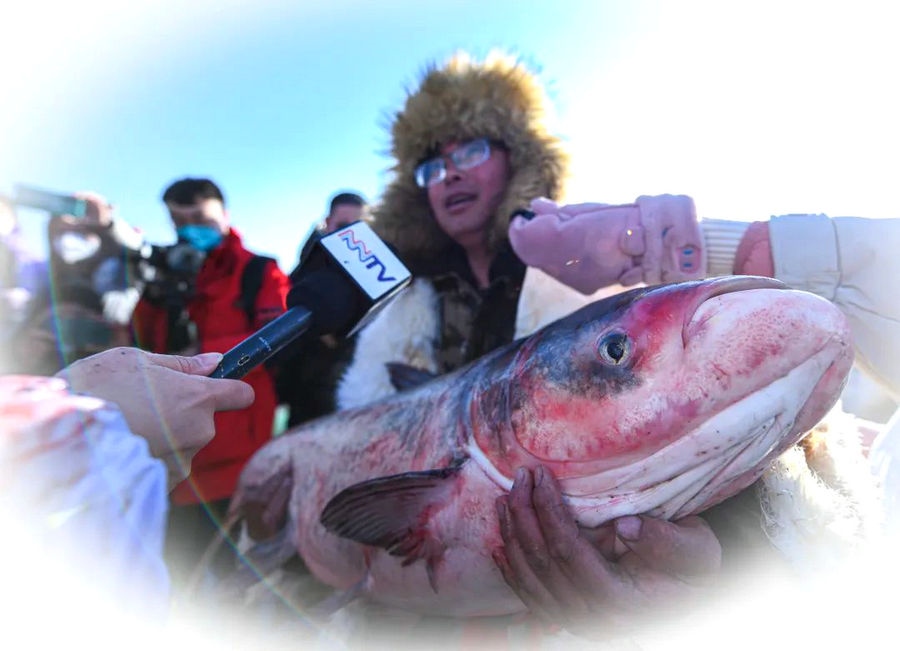 1673269450842131.jpg 003.jpg