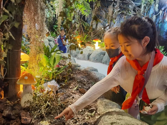 1691478083926775.jpg 5.jpg