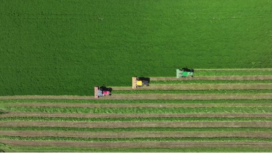 1707316197152375.png 9bbf05b6050d98980688ee7582204eb747.png