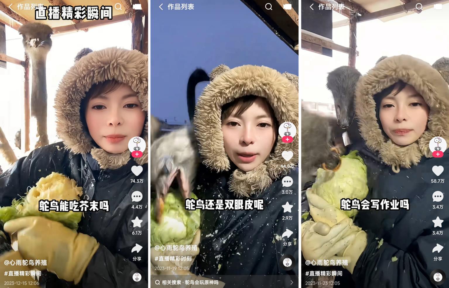 1714128985464485.png 圖片5.png