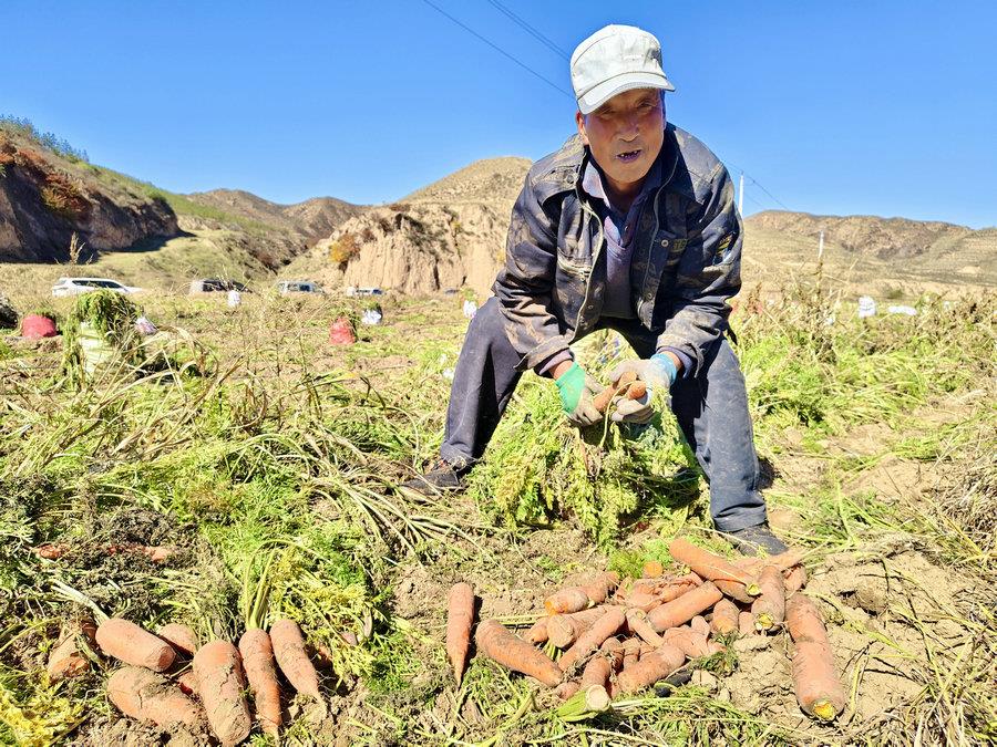 1729128562552571.jpg _DSC2271.JPG