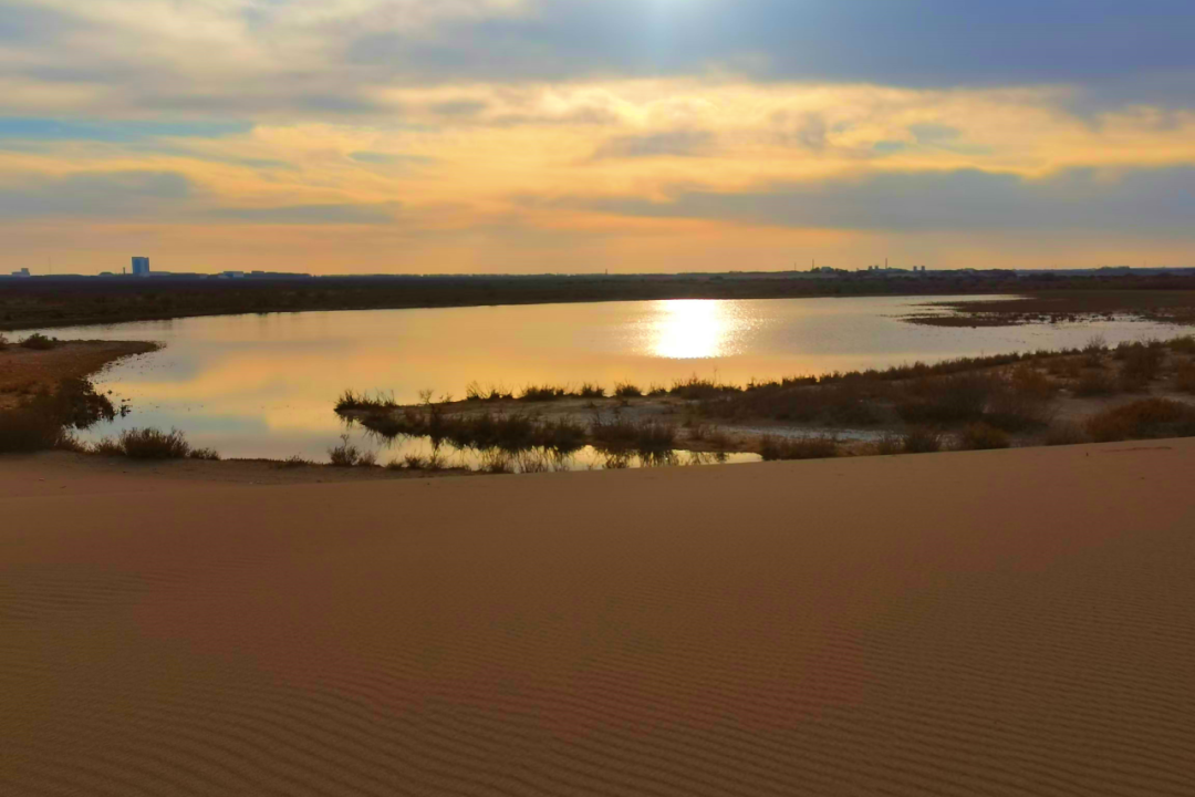 1733733384116254.png 640 (28).png