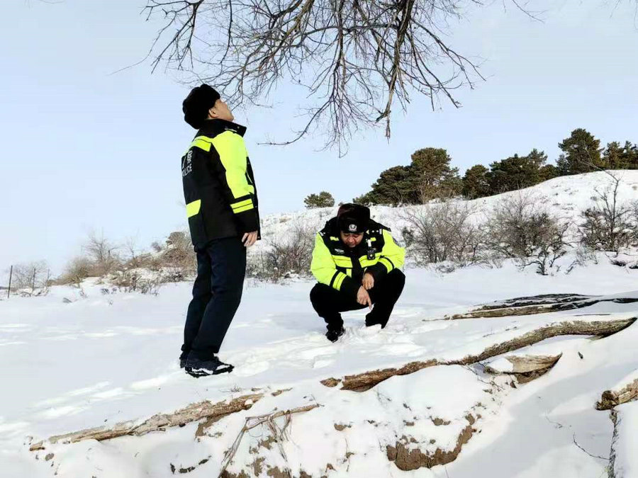 1734675952676545.jpg 微信圖片_20241220142014.jpg