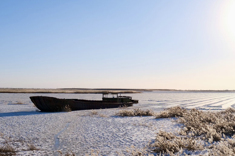 1736303270280352.jpg 11.jpg