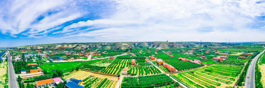 1741053436122085.jpg 04.jpg