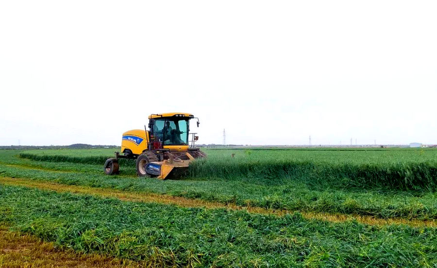 1743750748120949.jpg 640 (1).jpg