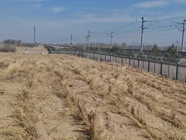 1746504998867090.jpg 20250506121113.jpg