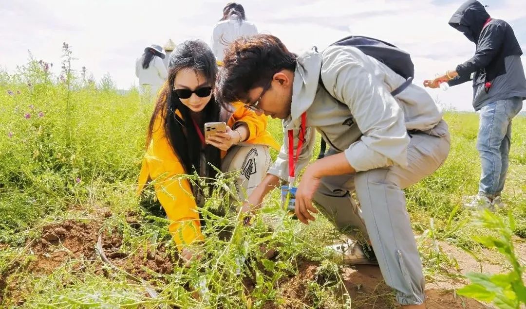 1752835074712563.jpg 01.jpg