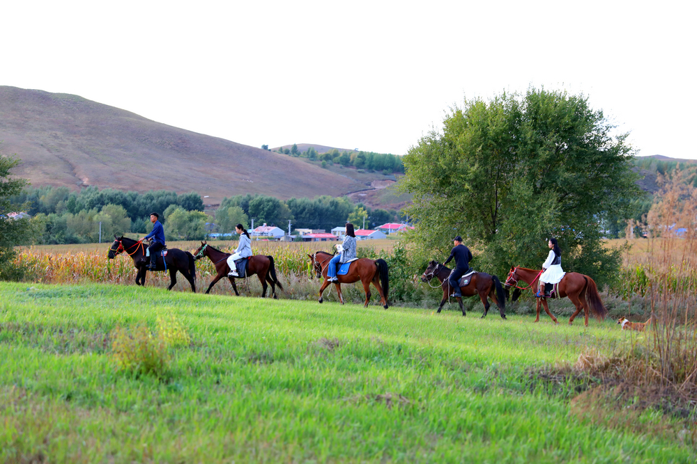 1758816923101124.jpg 7O5A7897.jpg