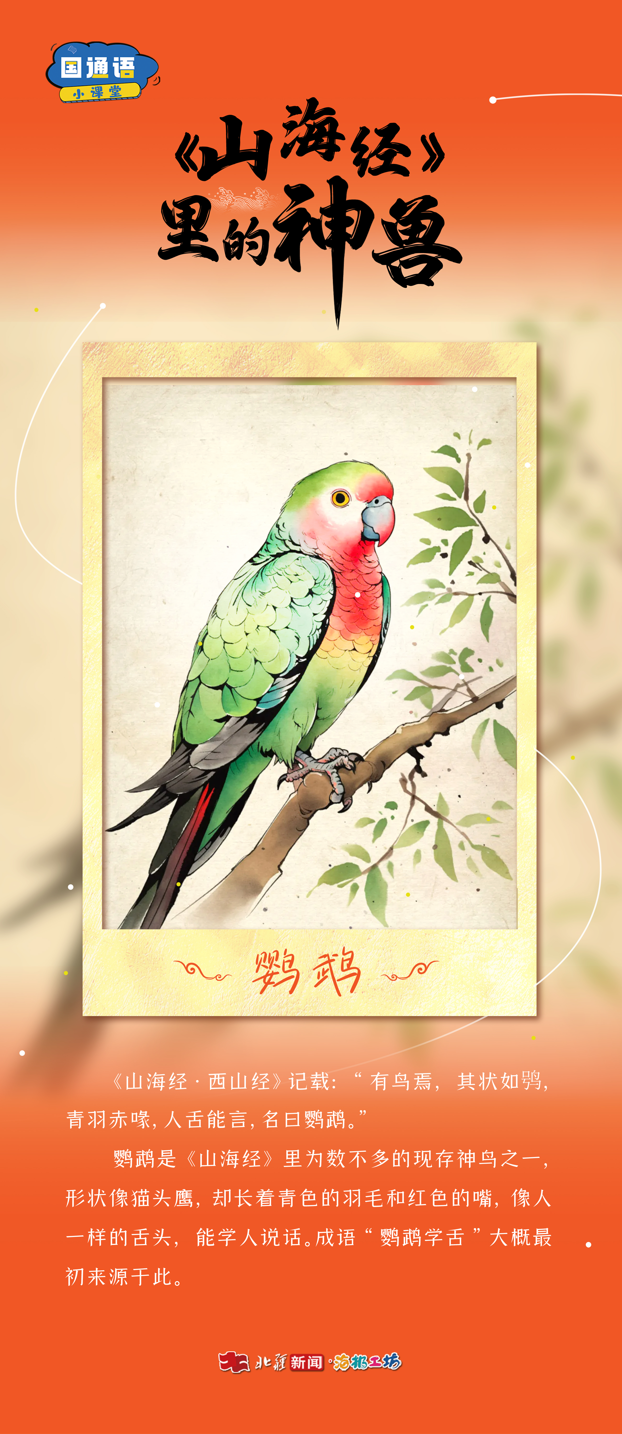 1770169104196483.jpg 鸚鵡.jpg