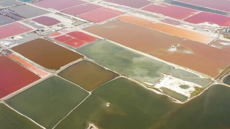 鑒往知來，跟著總書記學(xué)歷史丨走進(jìn)一座博物館，尋根五千年中華文明