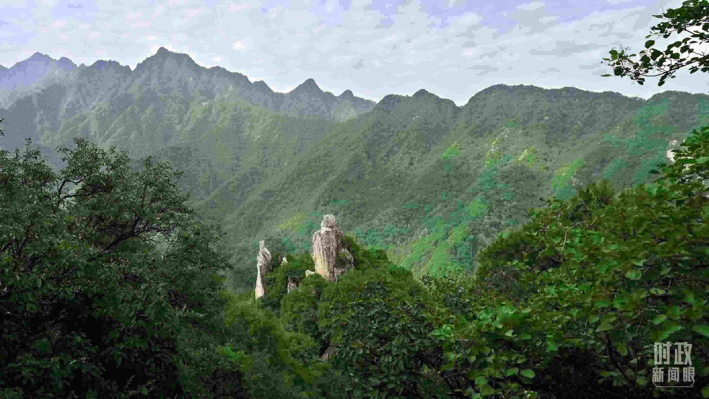 △秦嶺。（圖／視覺中國）