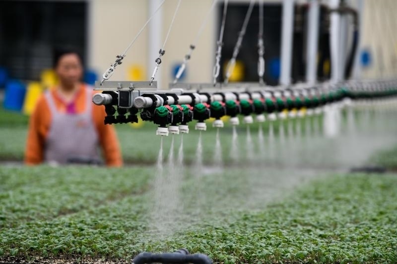 工人在貴陽市開陽縣楠木渡蔬菜良種繁育中心查看自動噴灌系統(tǒng)給辣椒苗澆水情況（2023年5月24日攝）。新華社記者 楊文斌 攝