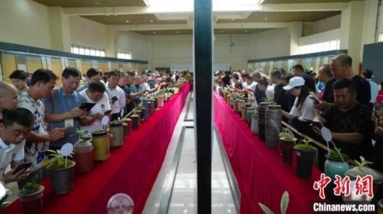 圖為活動現(xiàn)場。 云南省委臺辦供圖