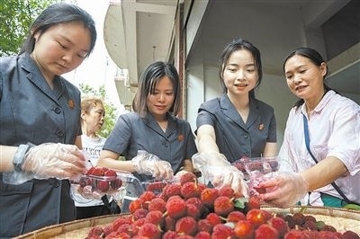 志愿者和村民一起將摘下的楊梅裝進(jìn)食品盒里。