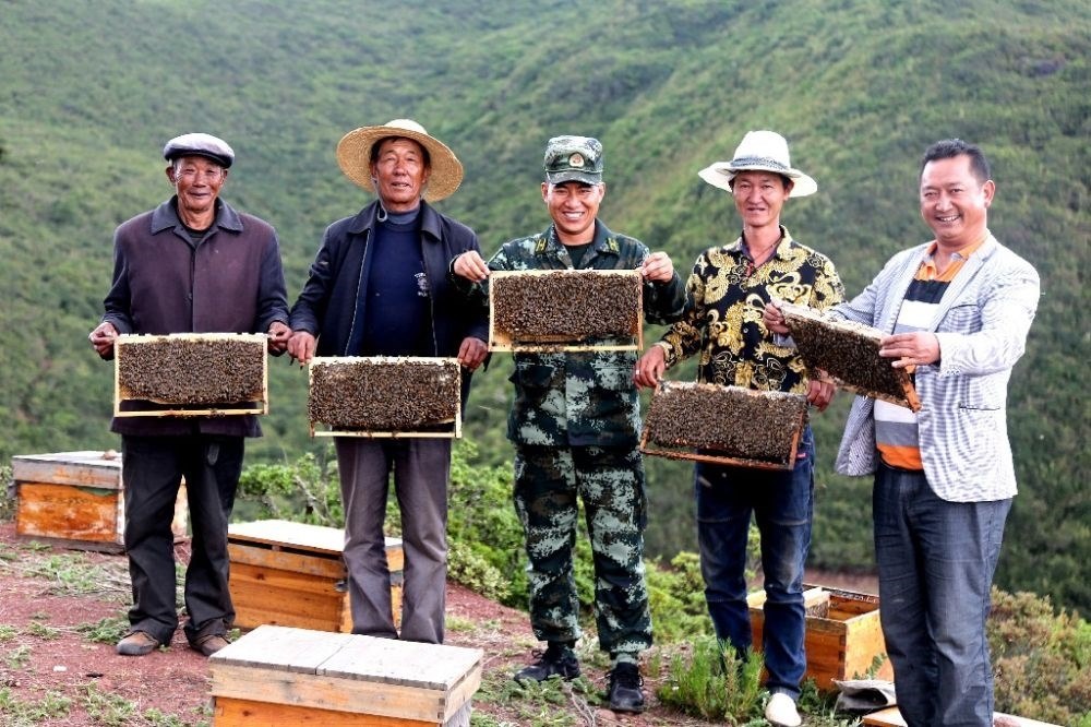 ↑武警四川總隊涼山支隊精準幫扶昭覺縣梭梭拉打村發(fā)展養(yǎng)蜂產(chǎn)業(yè)，總隊駐村扶貧干部布哈（中）和村民一同展示豐收成果（2019年6月12日攝）。新華社發(fā)（楊劍 攝）