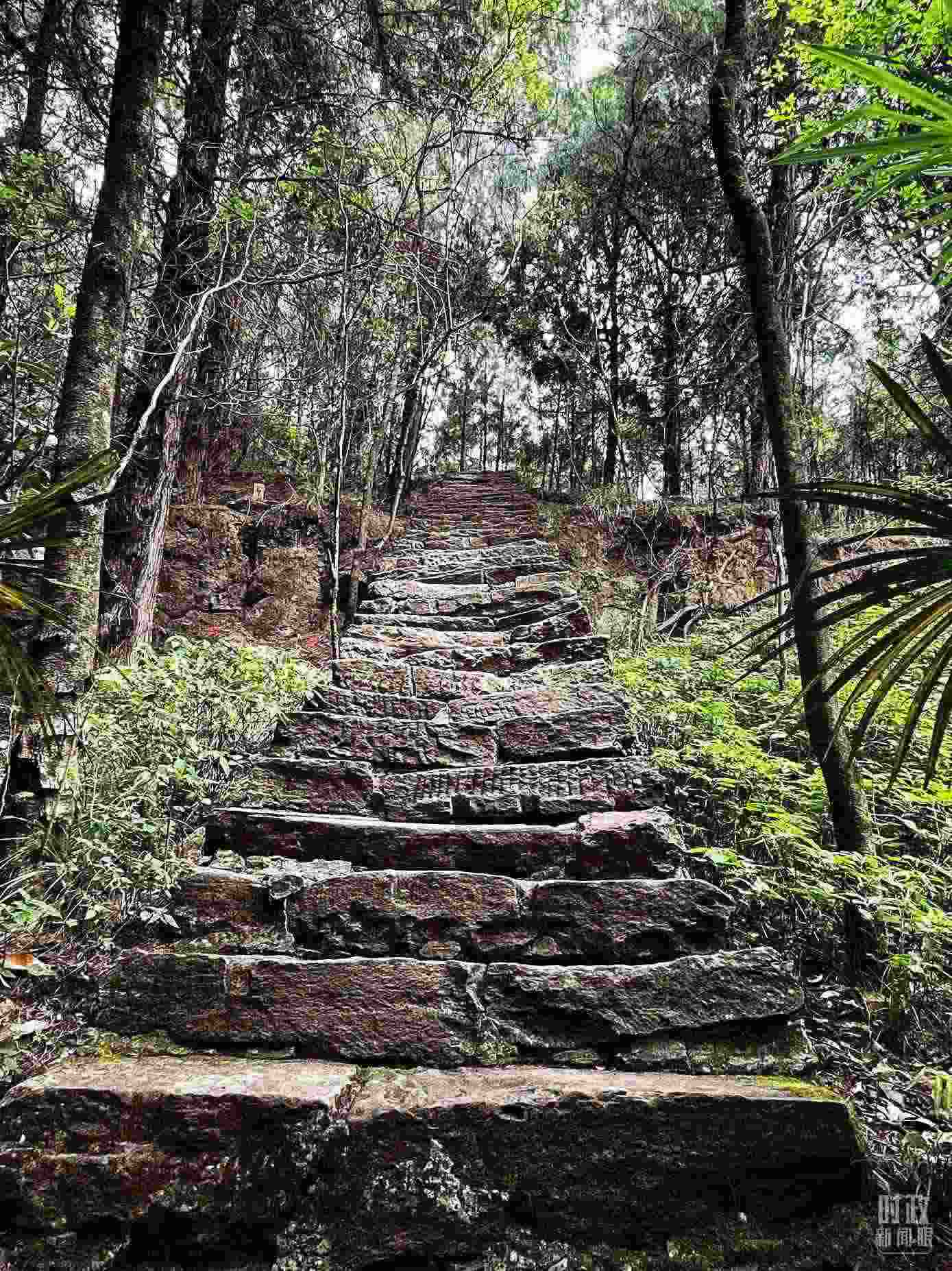 △古蜀道。（總臺(tái)央視記者郭曉龍拍攝）