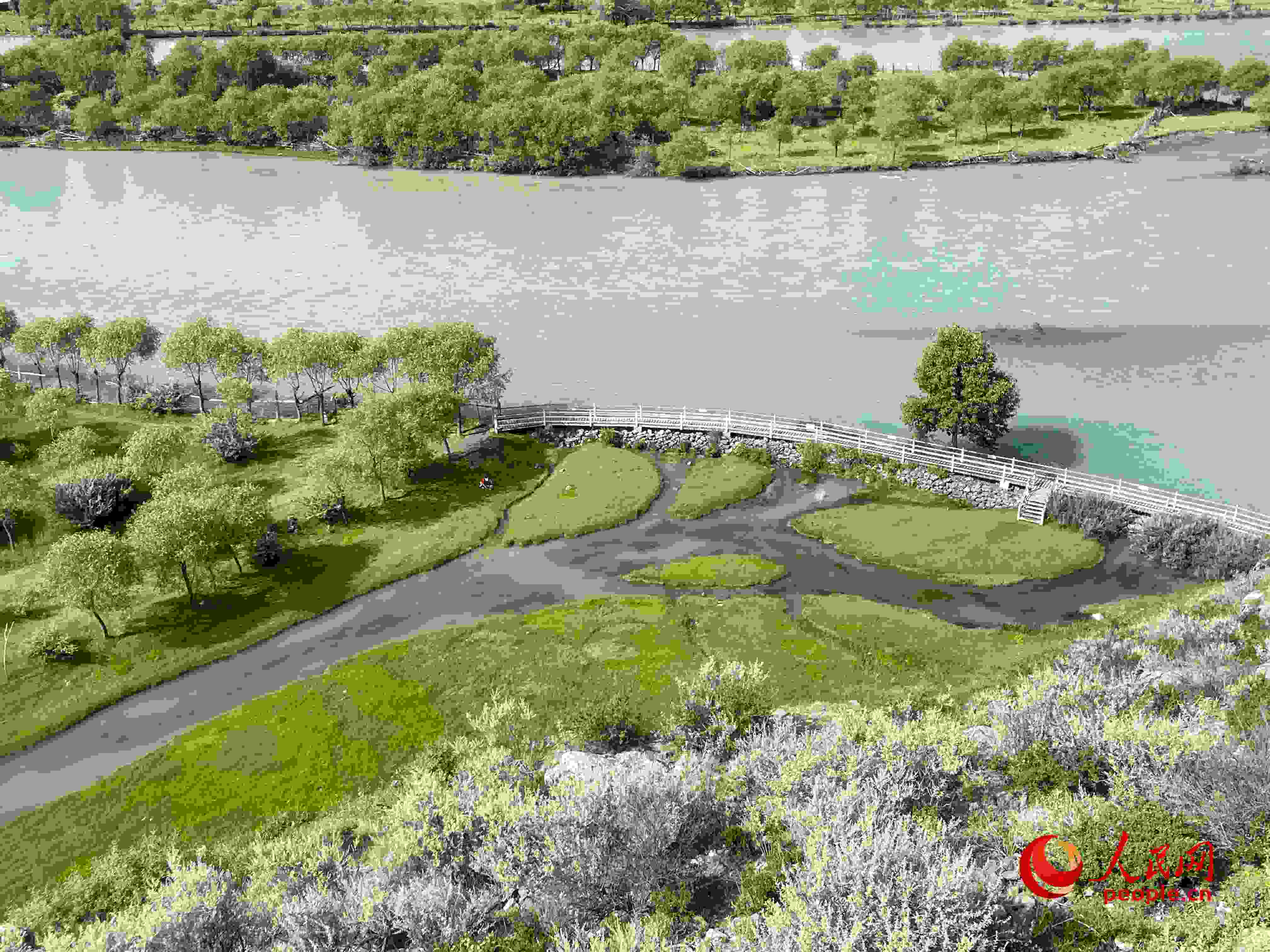 夏日的雅尼國家濕地公園生機盎然，如詩如畫。人民網(wǎng) 周靜圓攝