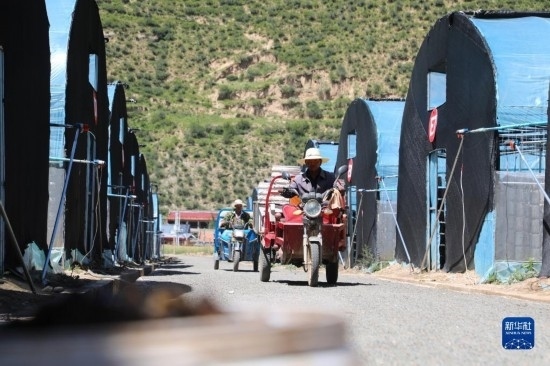 7月29日，農(nóng)戶在卓尼縣納浪鎮(zhèn)納浪村黑木耳種植基地勞作。