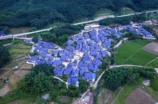 磨憨鎮(zhèn)曼莊村大龍哈小組現(xiàn)代化邊境幸福村新貌。人民網(wǎng)記者 符皓攝