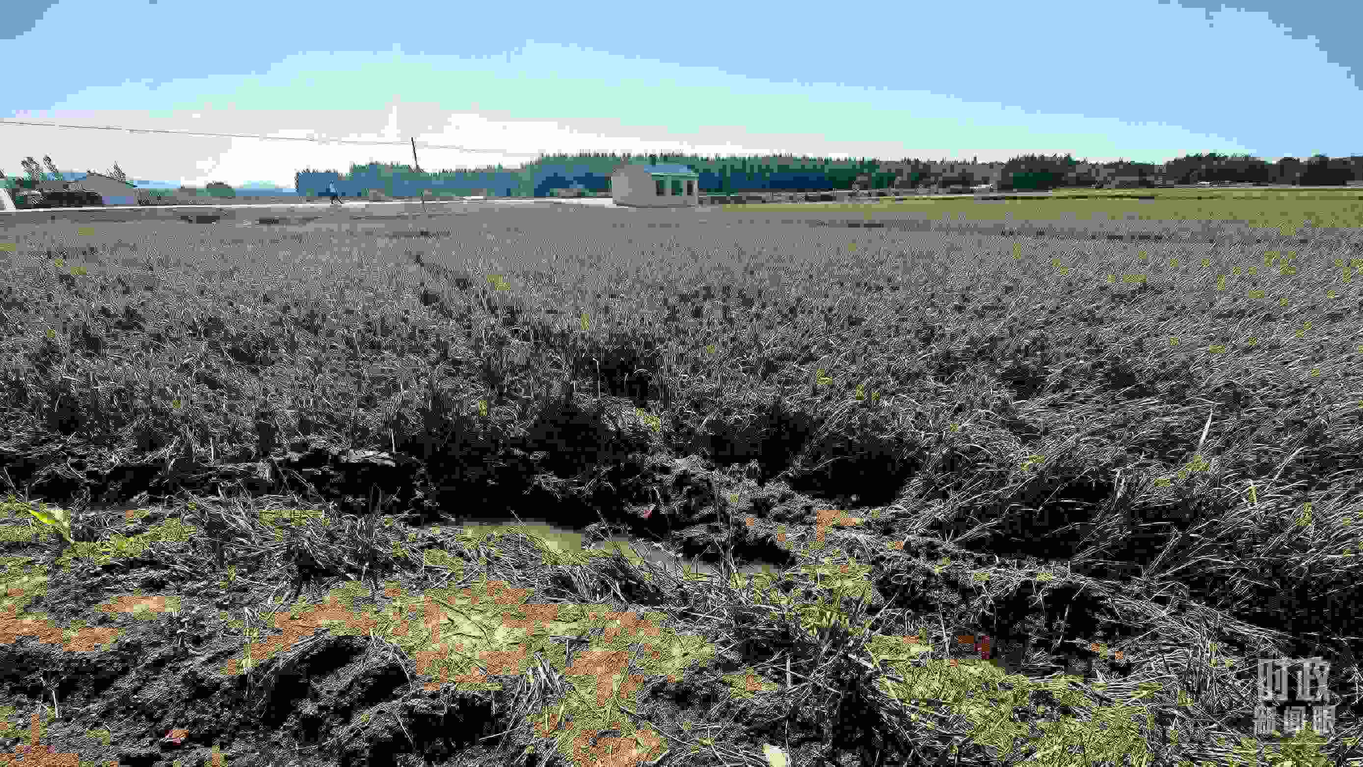 △圖為龍王廟村在洪災(zāi)中受損的農(nóng)田。（總臺央視記者史偉拍攝）