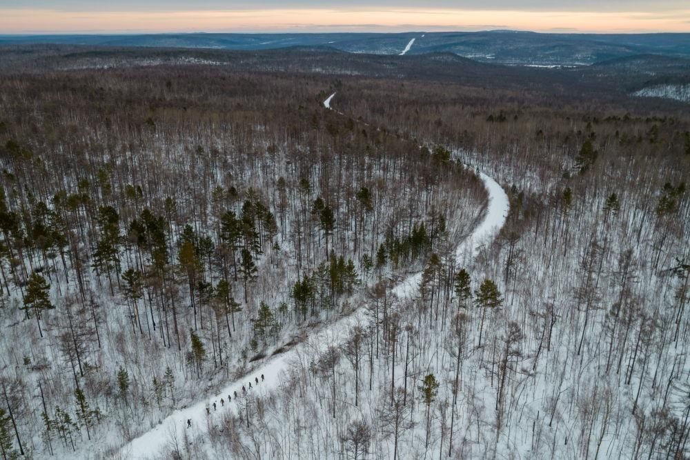 △2023年1月，漠河林場數(shù)十名職工自發(fā)組成的森林撫育隊伍，在人跡罕至的山林中作業(yè)。