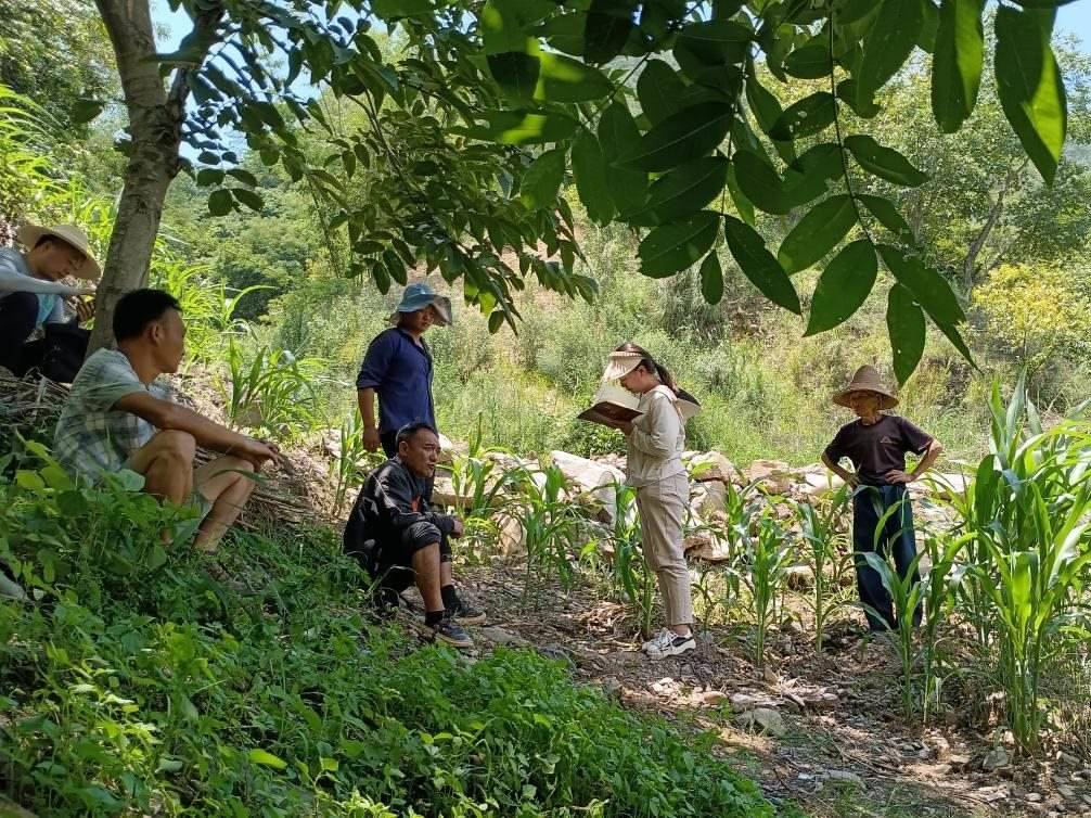 2023年7月18日，兩家村民發(fā)生土地方面的糾紛，李江女（右二）在記錄情況。受訪者供圖