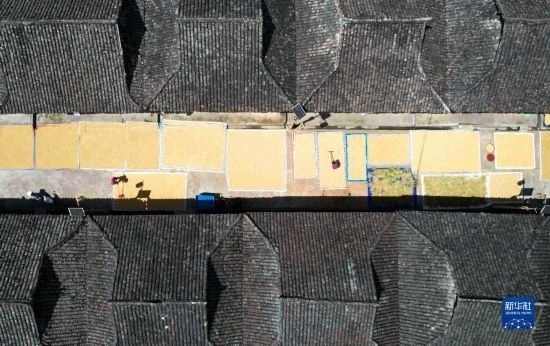 9月16日，在貴州省黔東南苗族侗族自治州從江縣加勉鄉(xiāng)污扣村，村民在晾曬稻谷（無人機照片）。