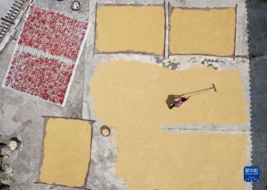 9月16日，村民在貴州省黔東南苗族侗族自治州施秉縣馬溪鄉(xiāng)王家坪村晾曬稻谷（無人機照片）。