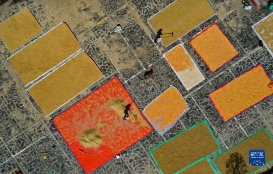 9月16日，貴州省黔東南苗族侗族自治州丹寨縣南皋鄉(xiāng)石橋村村民在晾曬農(nóng)作物（無人機照片）。