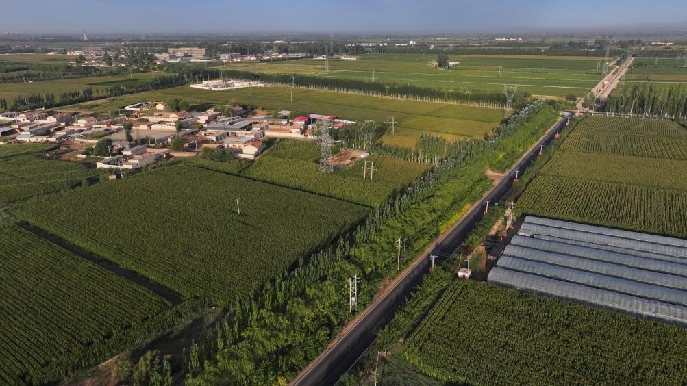 東興村周邊建起防護林網(wǎng)（無人機照片，2023年9月12日攝）。新華社記者李云平 攝