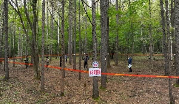 競賽現(xiàn)場。圖片來源:國家林業(yè)和草原局