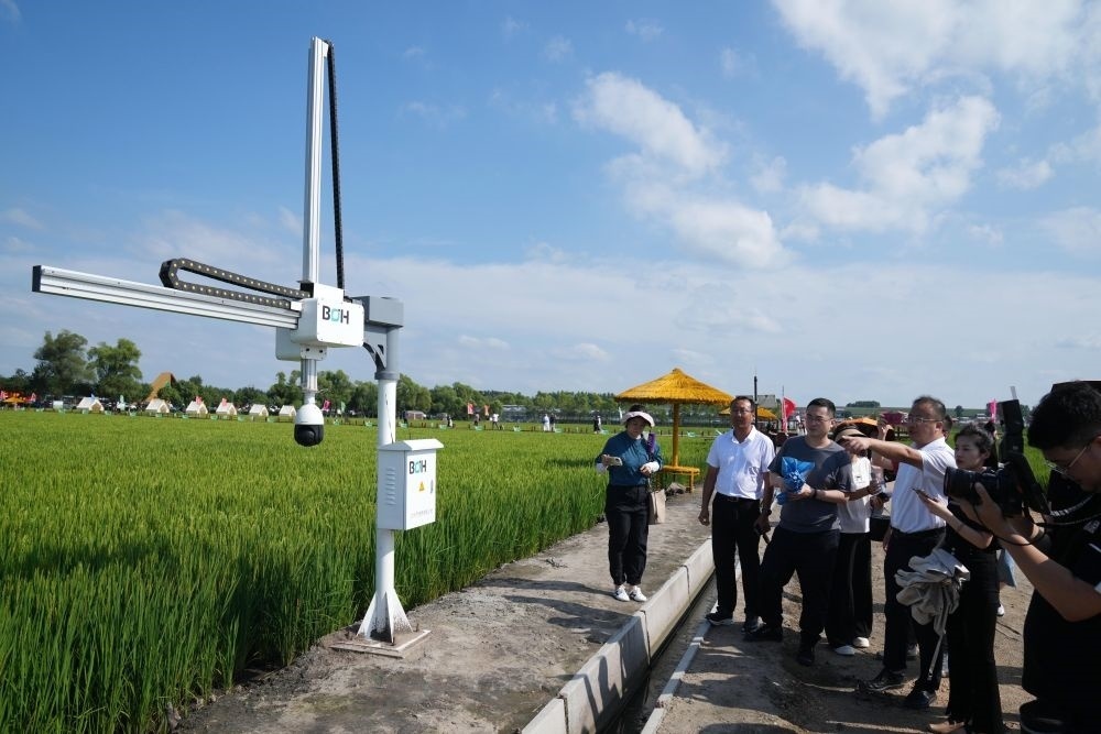在北大荒集團(tuán)閆家崗農(nóng)場有限公司農(nóng)業(yè)現(xiàn)代化示范區(qū)，工作人員在介紹利用數(shù)字技術(shù)的葉齡診斷儀（2023年8月10日攝）。新華社記者 王建威 攝