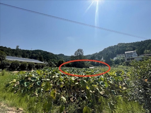 曾經(jīng)的圣水園所在地。 人民網(wǎng)記者 楊喬攝