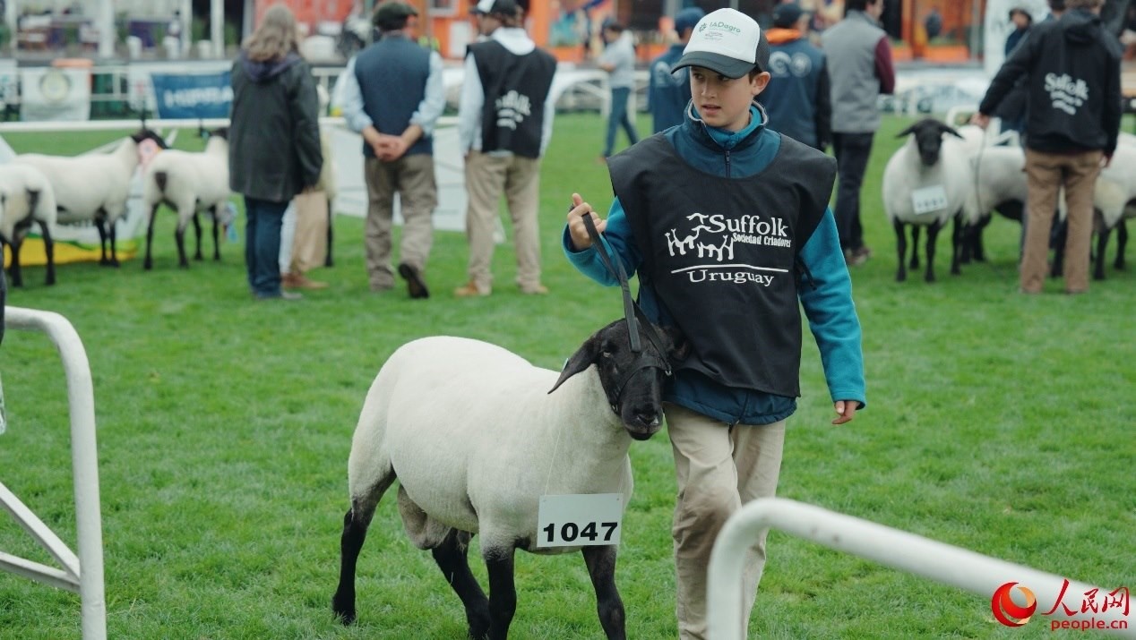 烏拉圭第118屆普拉多牧農(nóng)業(yè)國(guó)際博覽會(huì)現(xiàn)場(chǎng)。人民網(wǎng)記者 張若涵攝