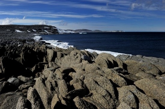 羅斯海恩克斯堡島的夏季風光。新華社記者 張建松 攝